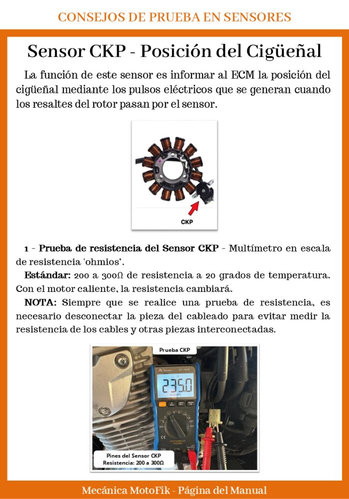 Imagem-3-site- FP1 (ESP)